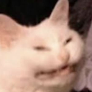 Meet your Posher, Elise